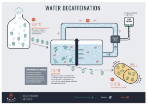 Swiss water decaffeination process